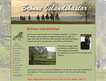 Tablet Screenshot of bronne.se